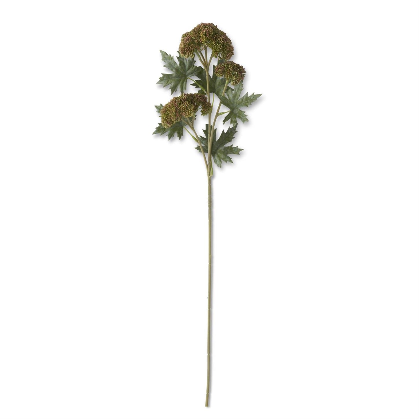 28 INCH DARK GREEN SEDUM STEM