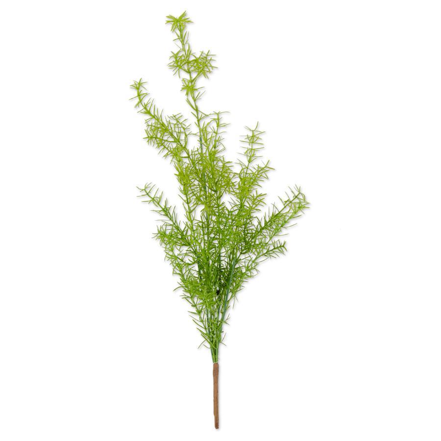 27 INCH ASPARAGUS FERN BUSH