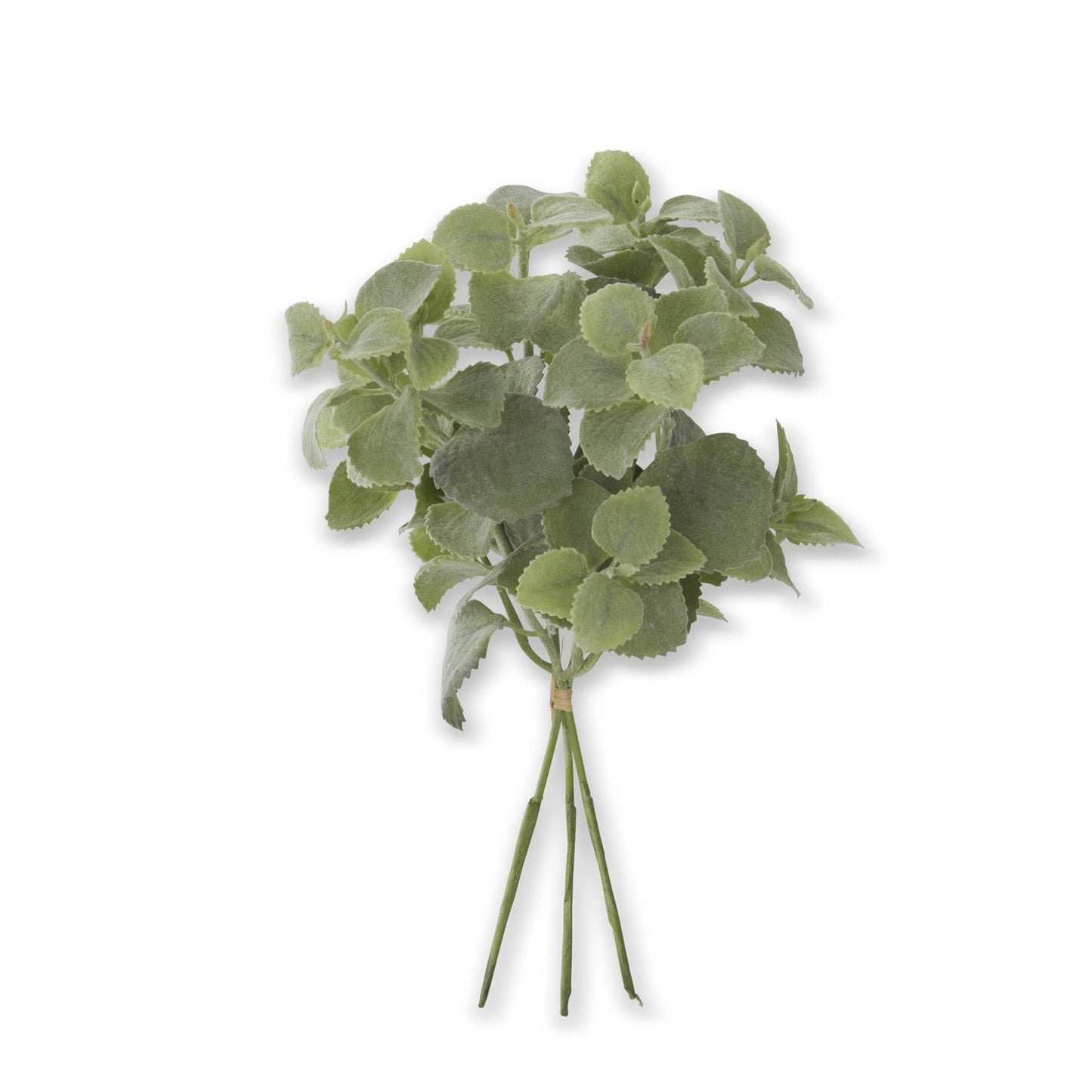 FLOCKED SAGE BUNDLE
