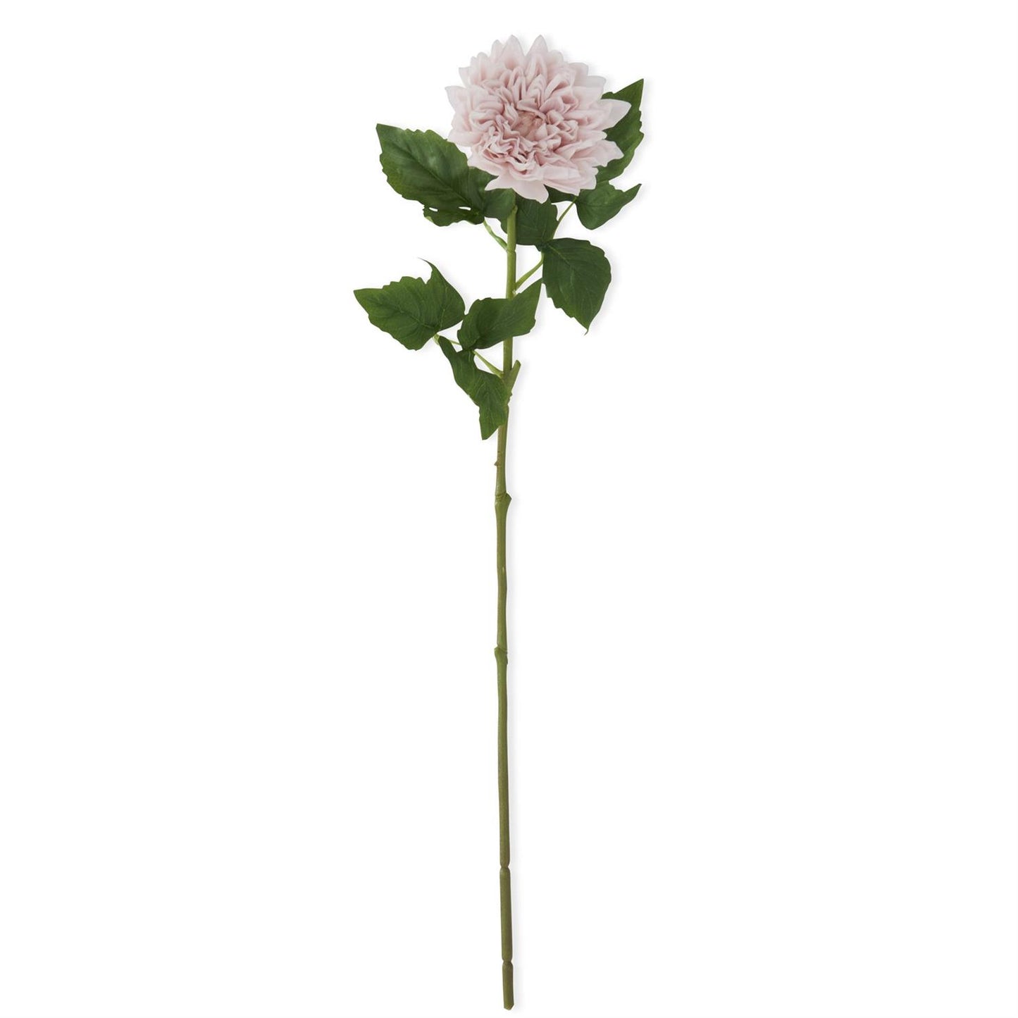REAL TOUCH DAHLIA STEMS
