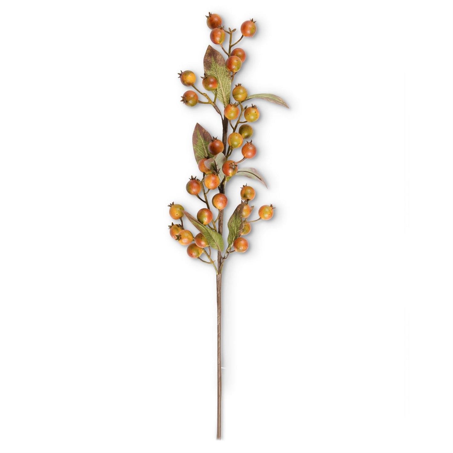 ROSEHIP STEM ORANGE/GREEN
