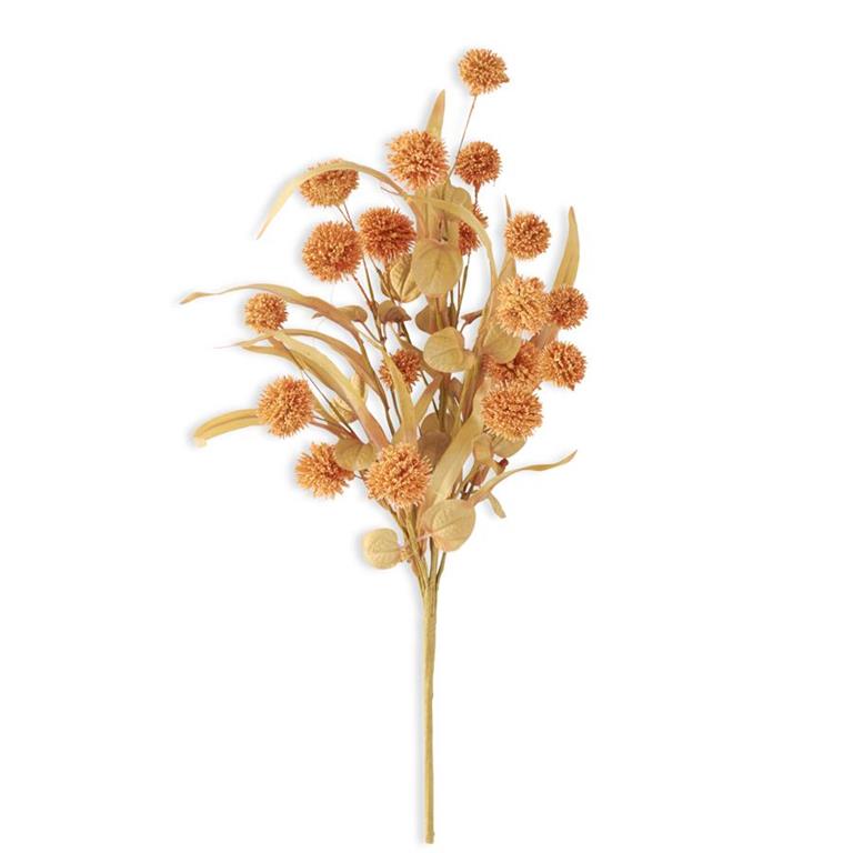 ORANGE SYCAMORE FRUIT BALL BUSH