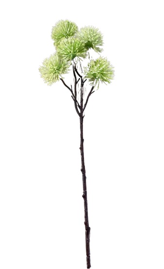 21" GREEN AND WHITE 5 BALL CENTAUREA THISTLE SPRAY