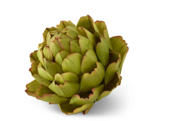 GREEN ARTICHOKE