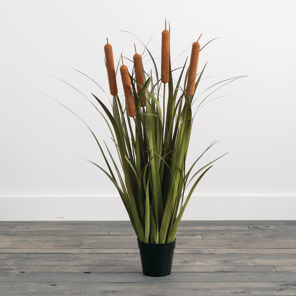POTTED ONION GRASS & CATTAILS