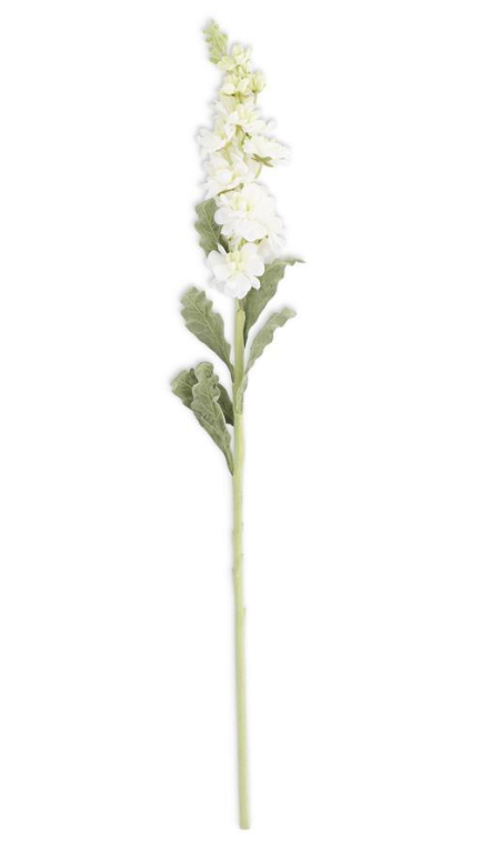 WHITE STOCK FLOWER STEM