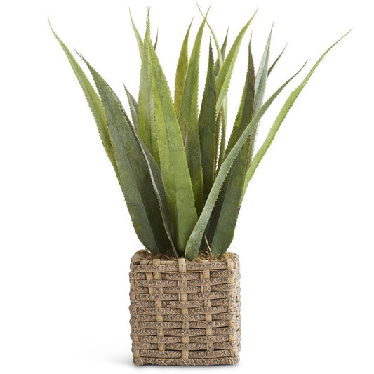 17 INCH SOFT GREEN AGAVE POT