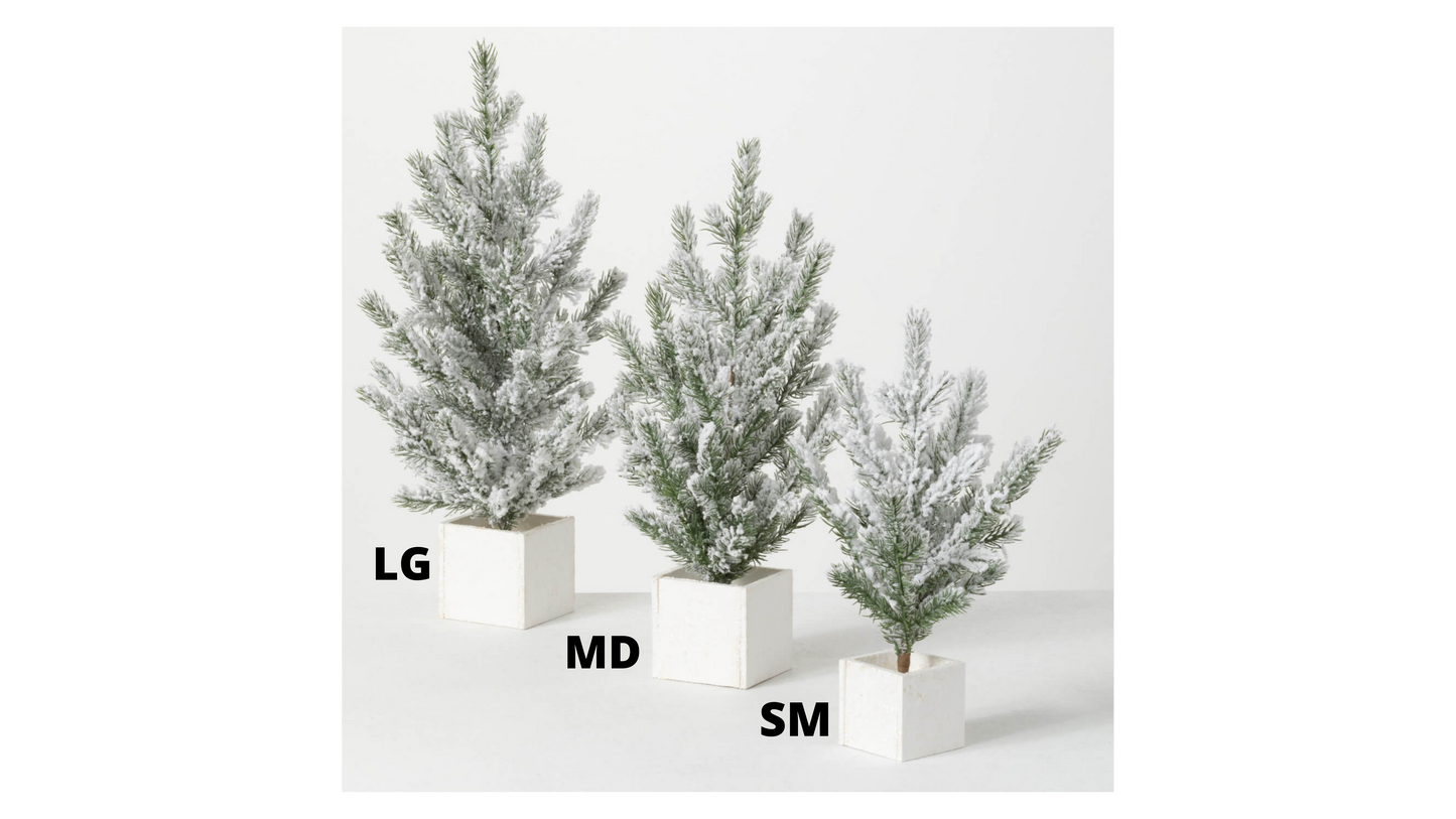 SNOWY PINE TREES