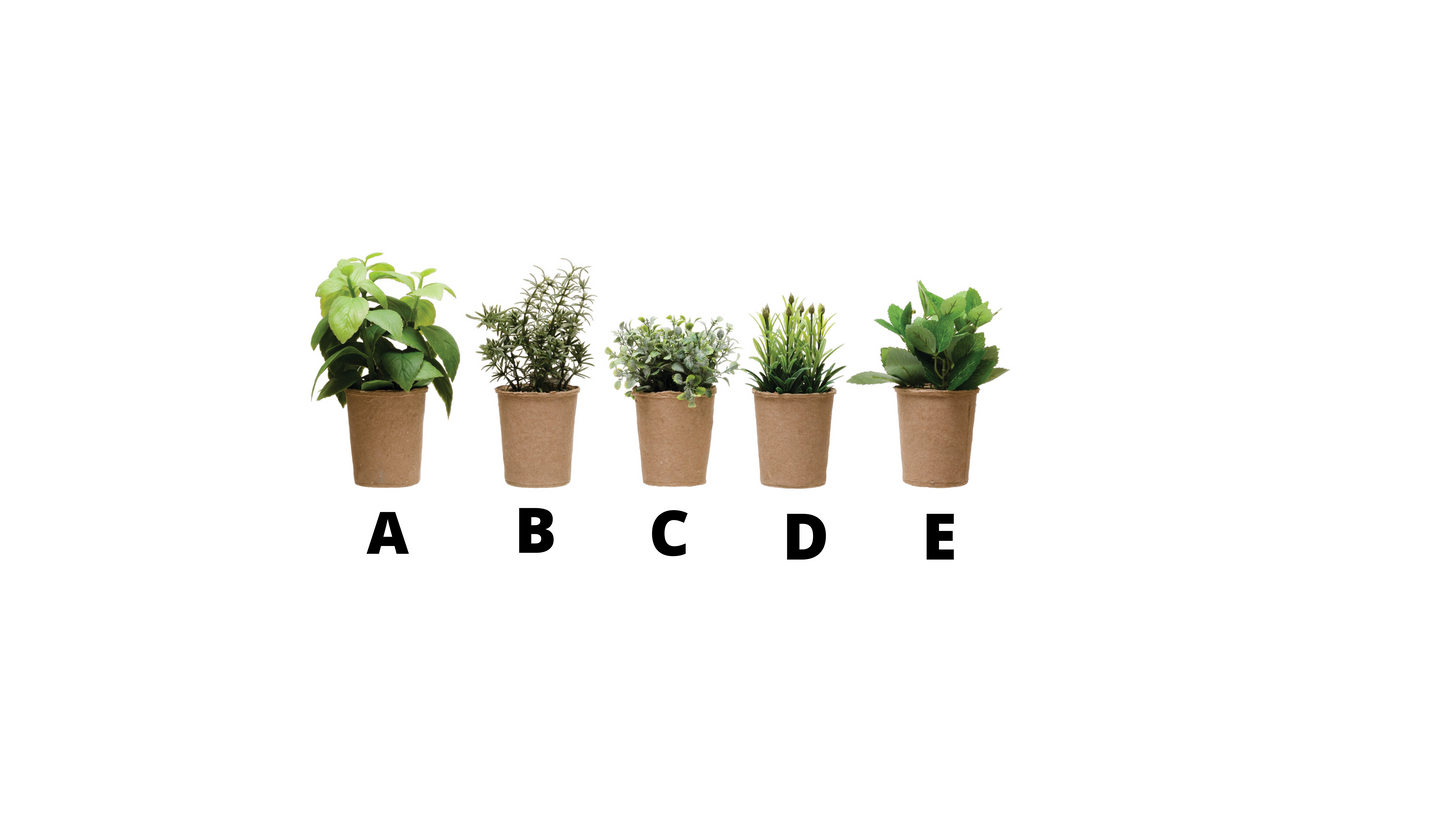 FAUX HERB IN PAPER POT