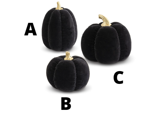 BLACK VELVET PUMPKINS