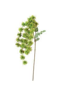 WILD FLOWER STEM