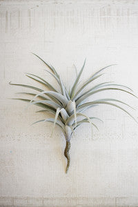 ARTIFICIAL SOFT AIR PLANT