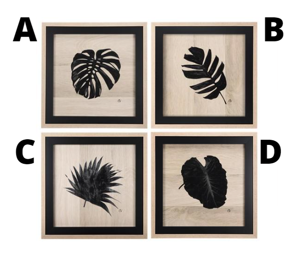 TROPICAL LEAF COLLECTION