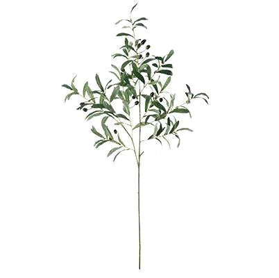 20" OLIVE STEM