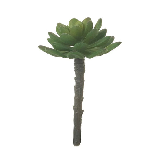 SUCCULENT STEM 5"