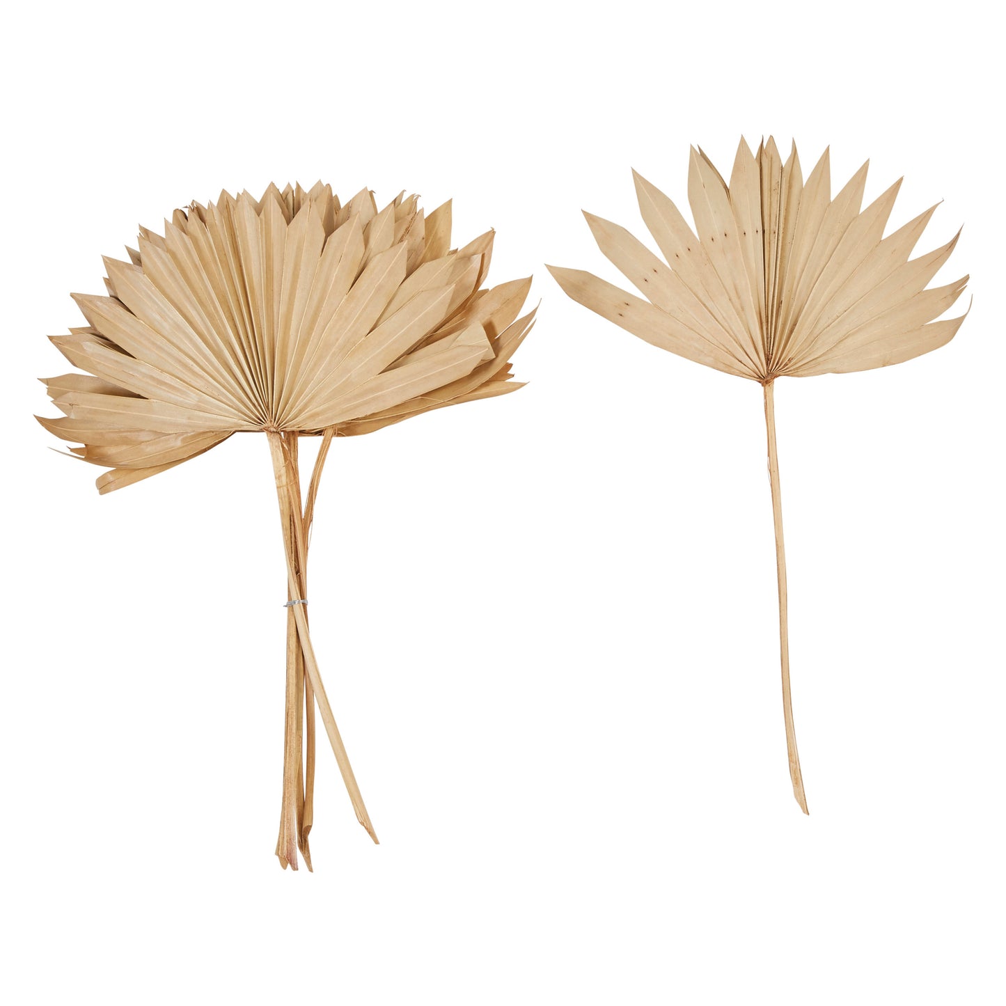SPEAR CUT DRIED NAUTURAL PALM