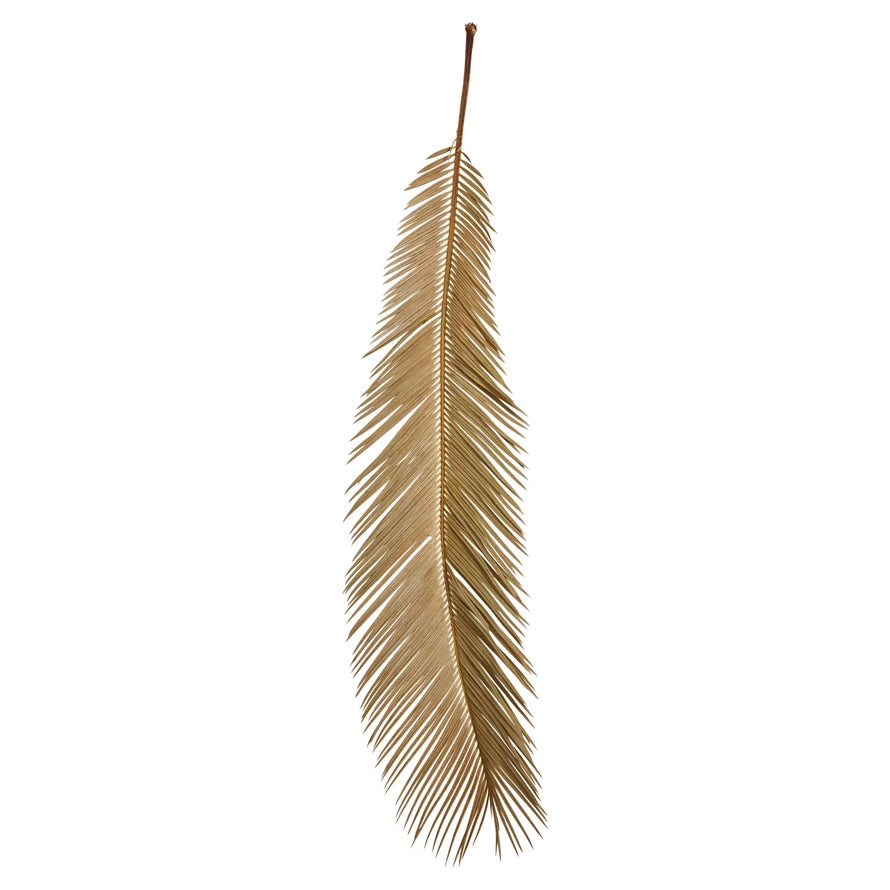 DRIED NATURAL CUT PALM LEAF