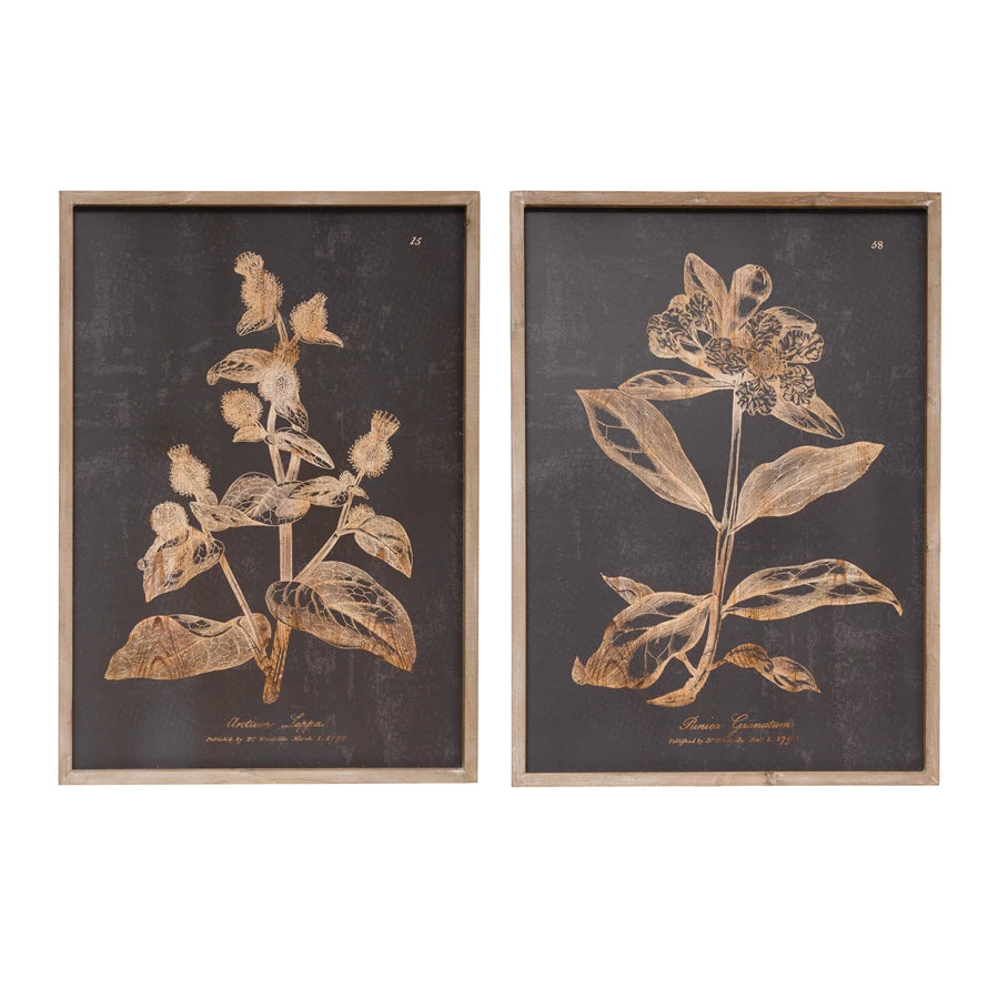 BOTANICAL PRINTS