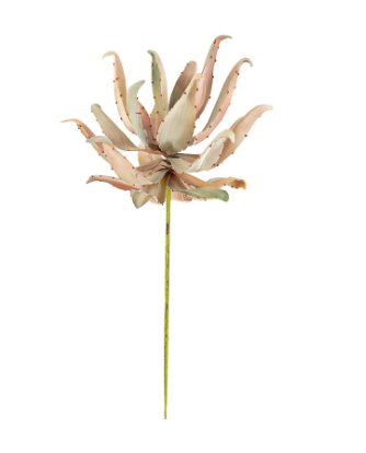 BOTANICA STEM