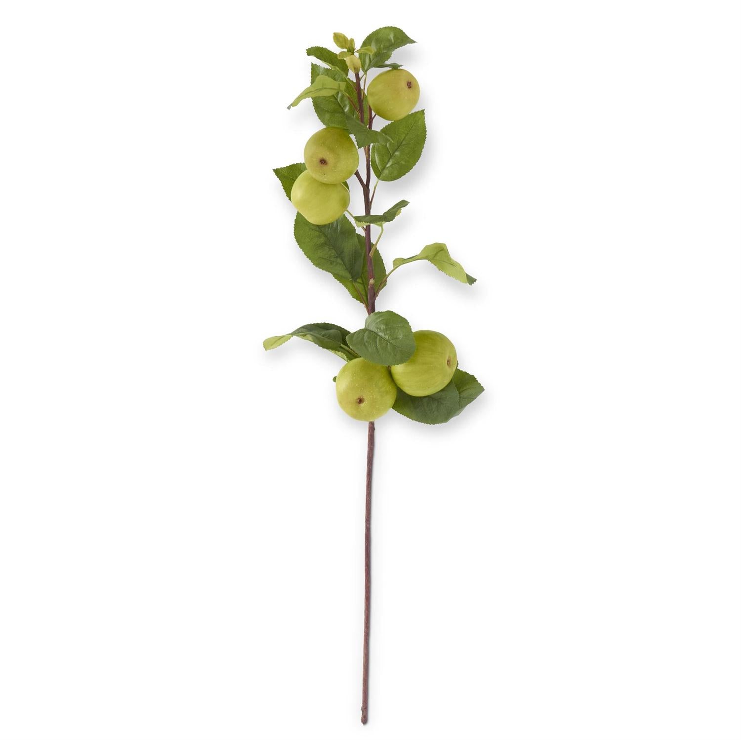 Other Greenery Fillers