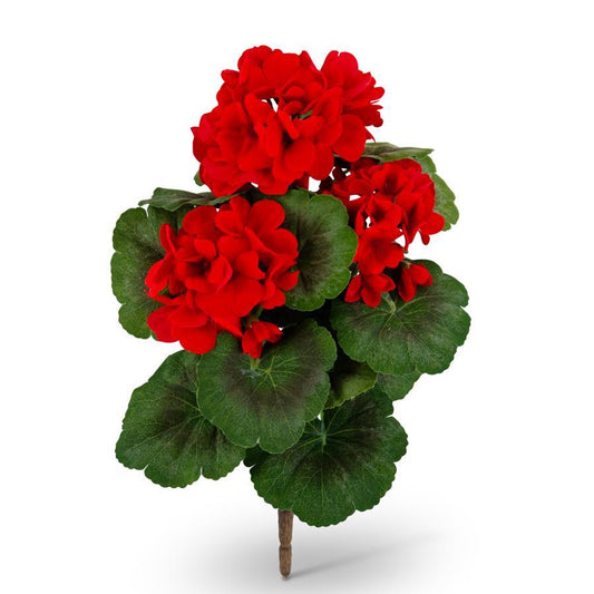 15" RED GERANIUM BUSH