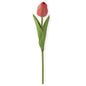 10.5 CORAL REAL TOUCH MINI TULIP STEM