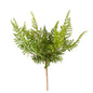 16" CURLY FERN SPRAY STEM