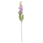 PURPLE STOCK FLOWER STEM