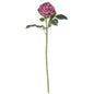 DARK PURPLE REAL TOUCH AUSTIN ROSE STEM