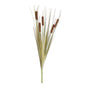 LIGHT BROWN 5 HEAD CATTAIL STEM