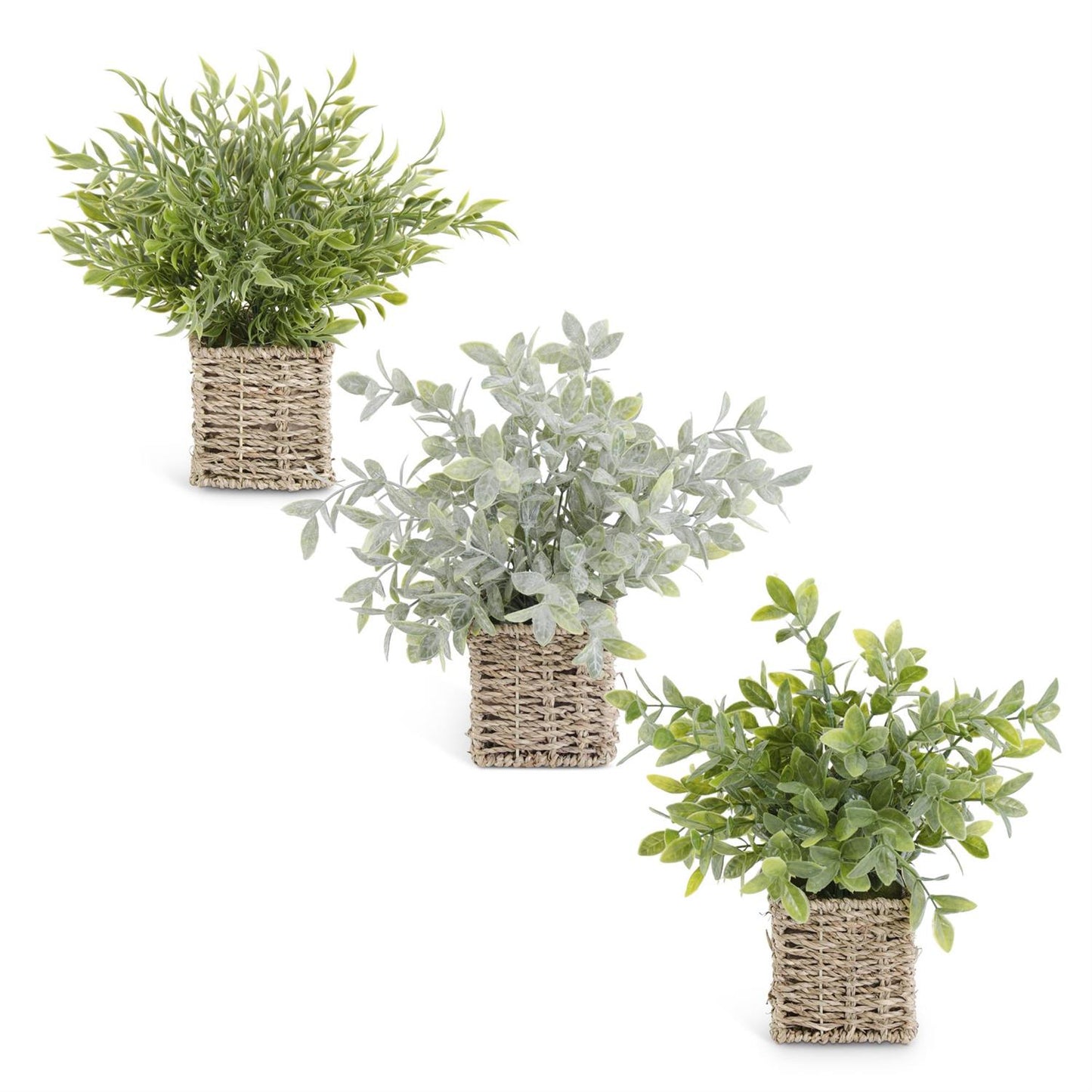 12 INCH HERBS IN SQUARE WOVEN BASKETS