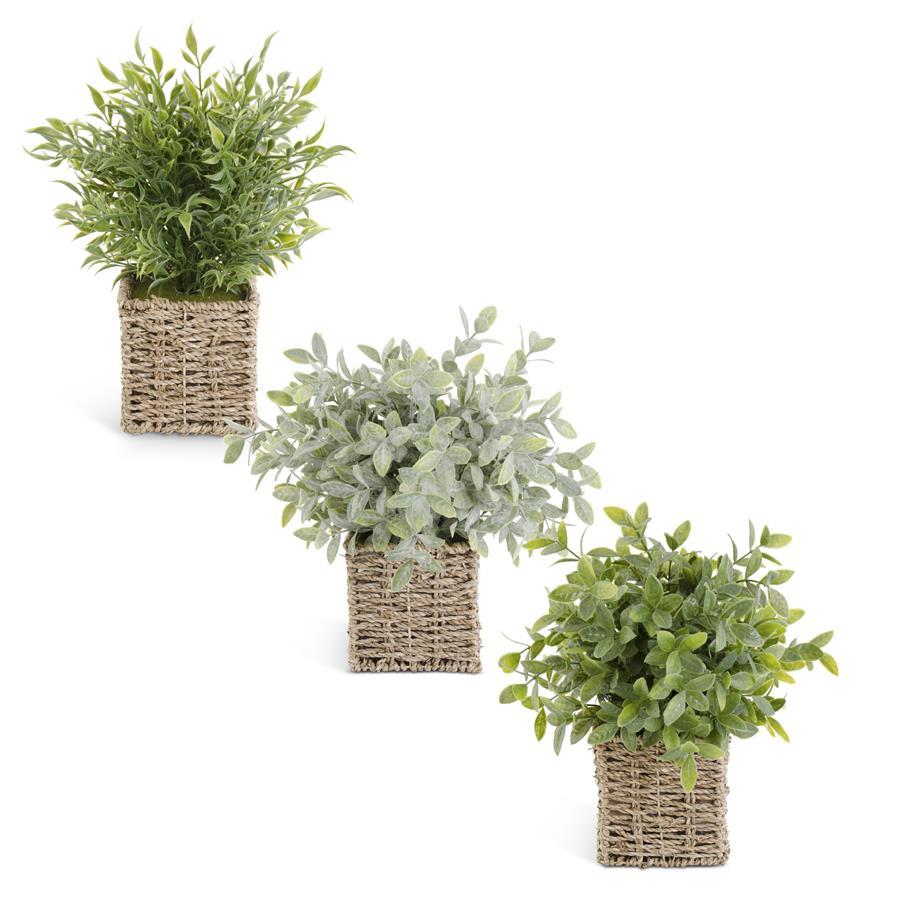 13 INCH HERBS IN SQUARE WOVEN BASKET