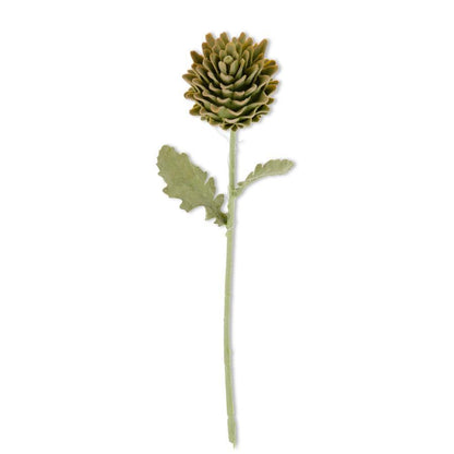 GREEN ARTICHOKE STEM