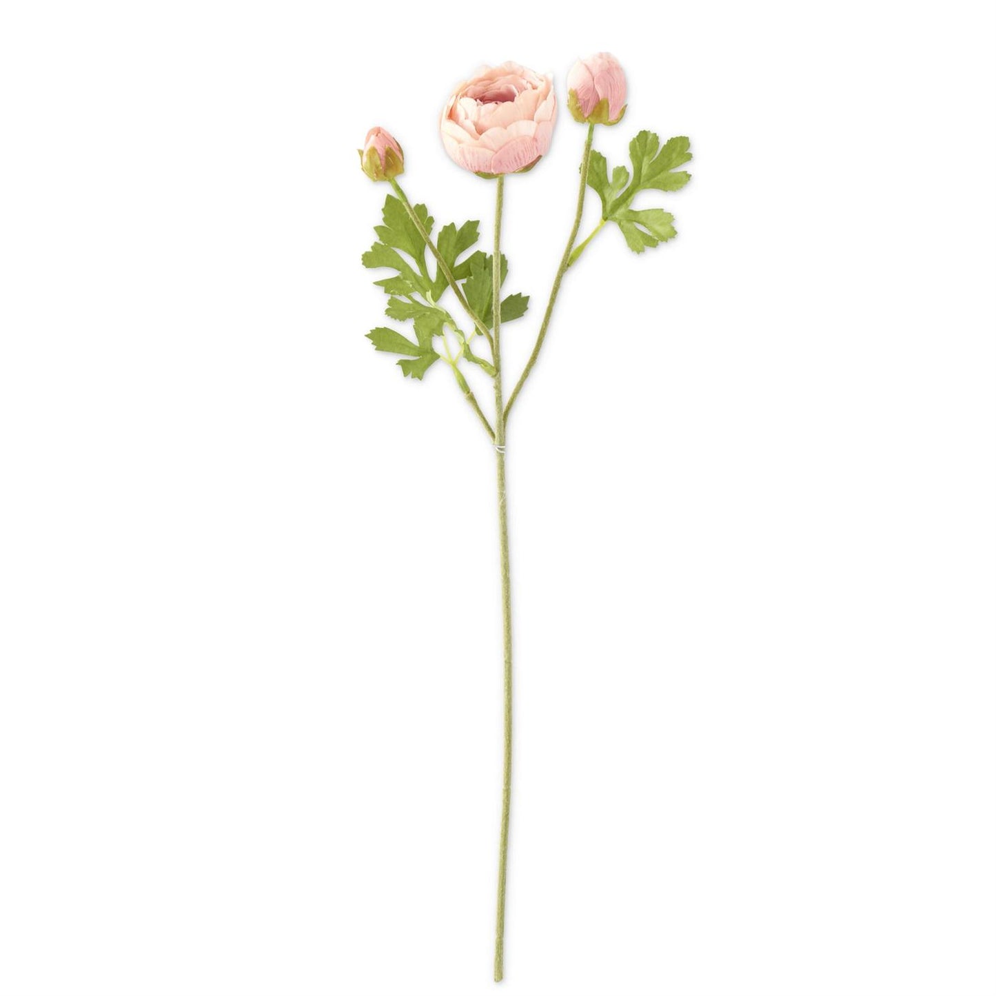 LIGHT PINK REAL TOUCH RANUNCULUS