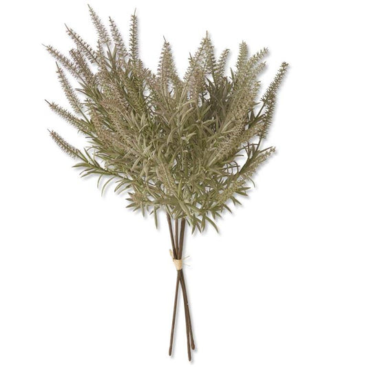 LIGHT GREEN LAVENDER BUNDLE