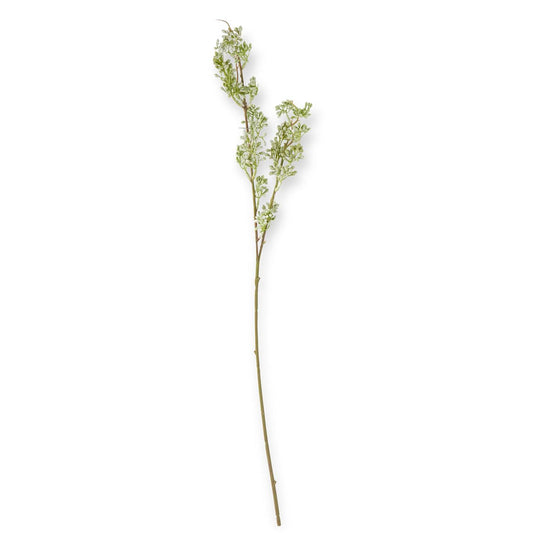 POWDERED GREEN EUCALYPTUS BERRY BUD STEM