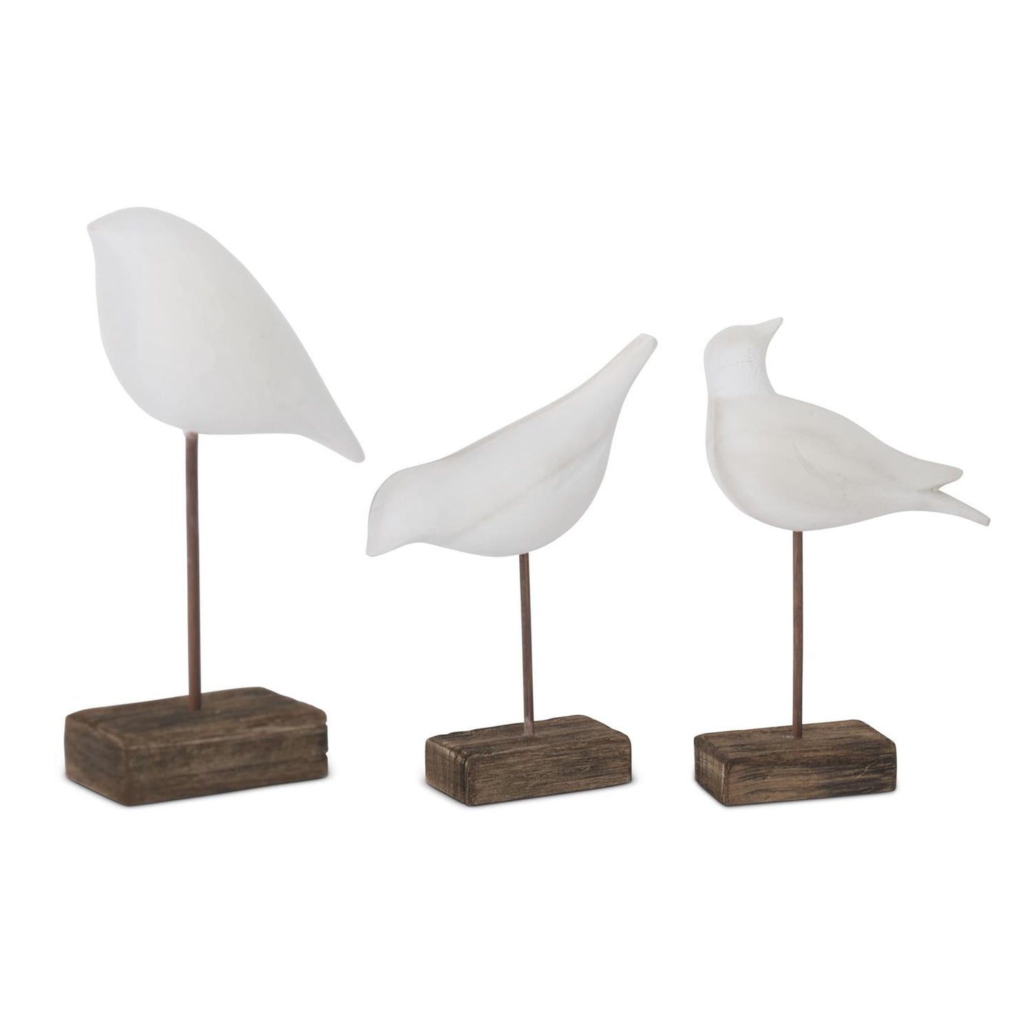 WHITE WOOD SHORE BIRDS