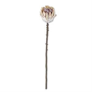 26" FLOCKED CREAM KING PROTEA STEM