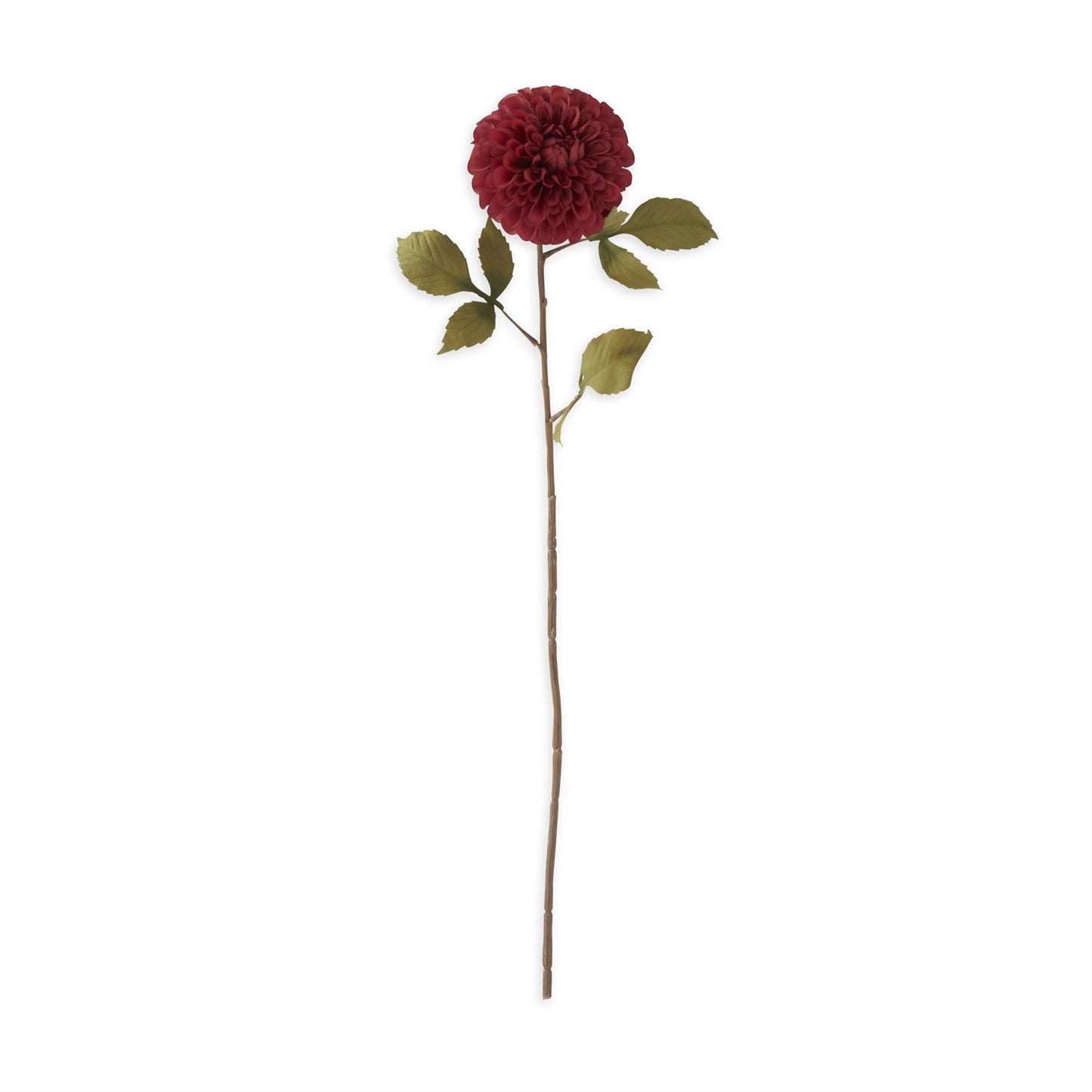 DAHLIA STEMS