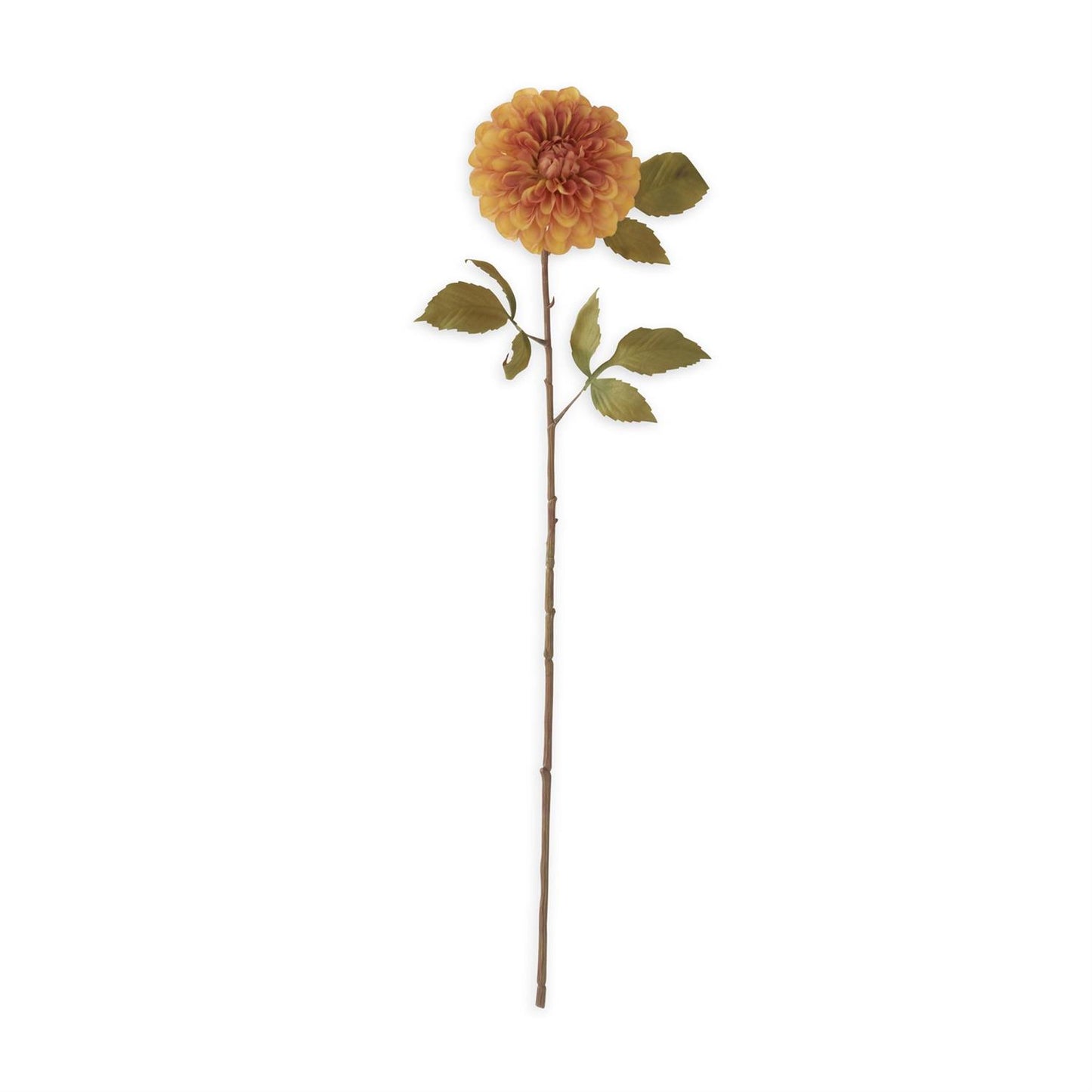 DAHLIA STEMS