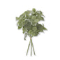 FLOCKED SAGE BUNDLE