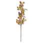 ROSEHIP STEM ORANGE/GREEN