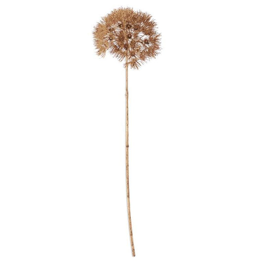 TAN FALL ALLIUM STEM 29"