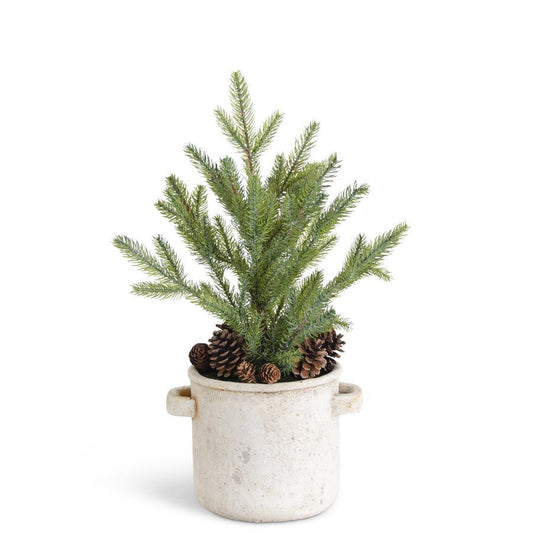 PINE TREE IN RUSTIC CREAM CROCK