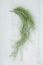 ARTIFICIAL GREEN MOSS