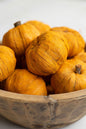 DRIED MINIATURE FAUX PUMPKIN