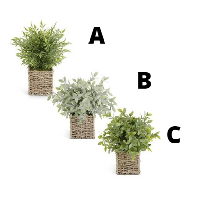 13 INCH HERBS IN SQUARE WOVEN BASKET