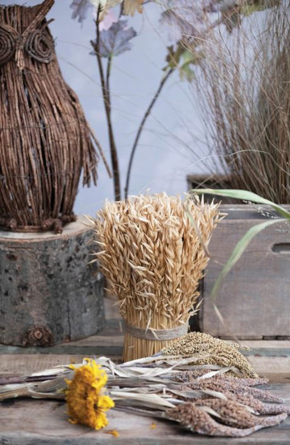 DRIED NATURAL HARVEST GRASS