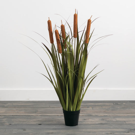 LARGE POTTED ONION GRASS & CATTAILS