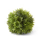 8 INCH PODOCARPUS BALL